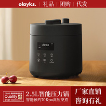 olayks出口原款电压力锅家用智能2.5L小型迷你高压锅饭煲1-2-3人4