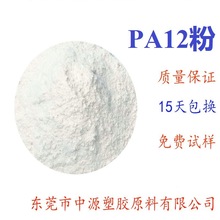 静电喷涂粉末PA12超细粉  尼龙12粉 PA12粉末
