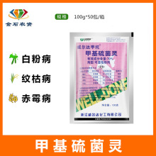 浙江威尔达甲托100克叶霉病白粉纹枯病赤霉病杀菌剂70%甲基硫菌灵