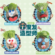 小花农草头娃娃 魔发造型师 创意DIY小盆栽 植物栽培草球种植批发