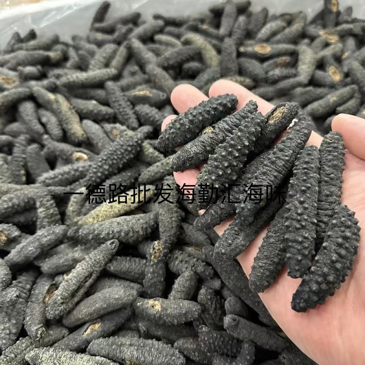 爱琴海土耳其参带刺米刺参希腊海参深海淡干海参干货天然黑刺参
