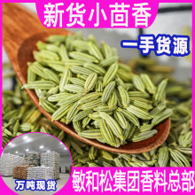 小茴香产地货源现货批发香辛料散装中药材批发调料卤料火锅烧烤料