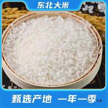当季新米10斤蟹田米东北大米5kg圆粒珍珠米20斤粳米