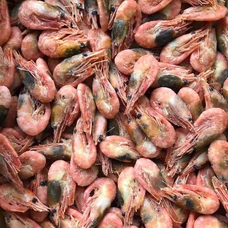 北极虾黑头青头新货净重3斤全海藻甜虾