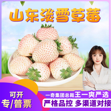 【严选】山东淡雪草莓 代发1/3斤新鲜稀有白草莓牛奶白雪公主香莓