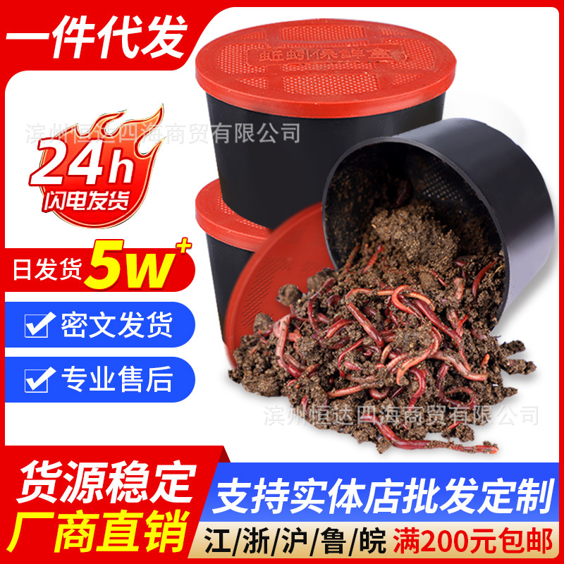蚯蚓活饵鲜活红虫垂钓鱼饵料鲫鱼鲤鱼野钓黑坑鱼料打窝料鱼食通杀