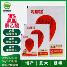 地胖哥 氯化胆碱 萘乙酸大葱蒜姜三七白术地下根块膨大增产调节剂