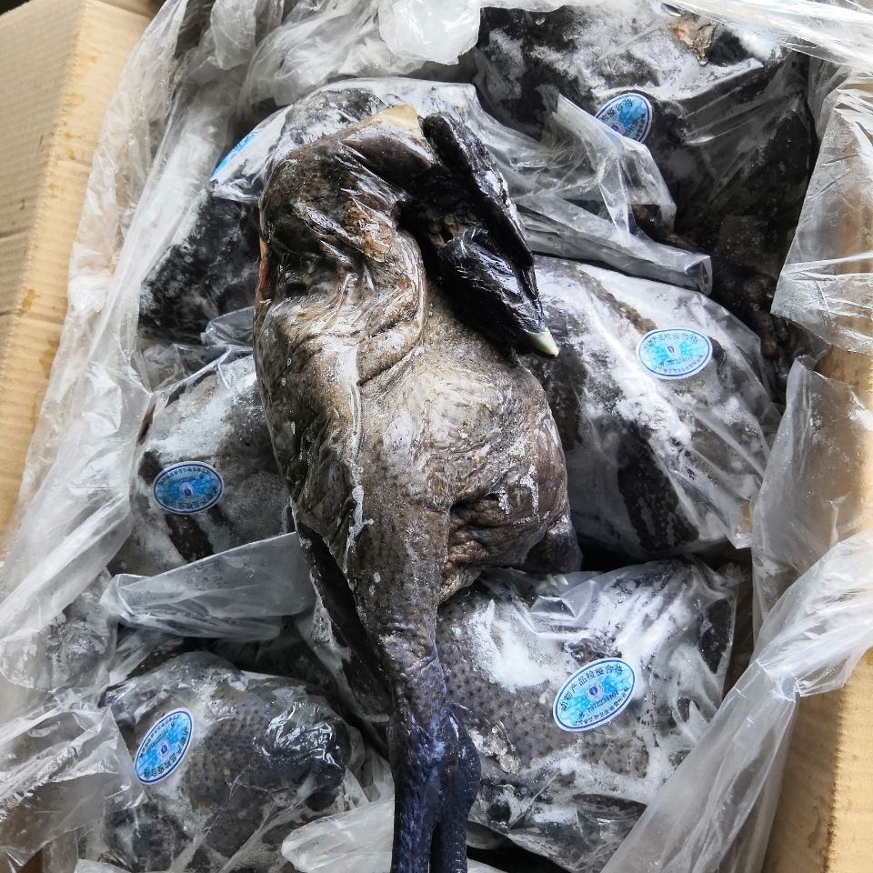 生鲜冷冻乌鸡冻竹丝鸡月子鸡煲汤食材乌骨鸡整箱19斤酒店食堂专用