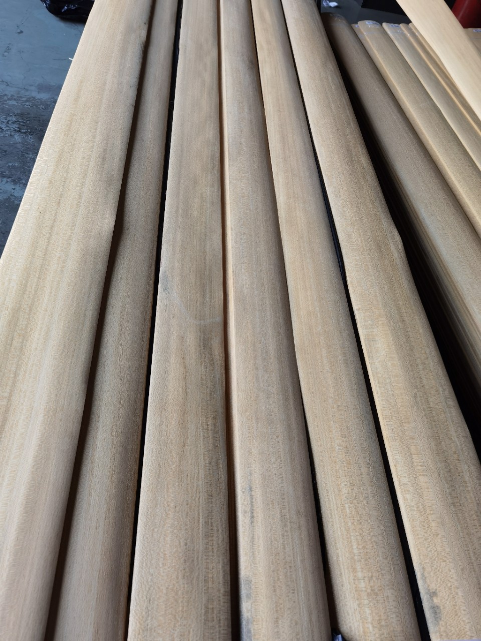 长期供应依杨尼斯易杨大点虎斑点染色用原皮本色货源稳定充足