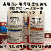 噻虫胺虫螨腈韭蛆蒜蛆黑头蛆专用组合套装杀虫药大蒜韭菜生姜蓟马