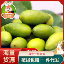 500g潮汕金灶特产青橄榄果现摘新鲜二号甜种橄榄柑榄青果无渣脆甜