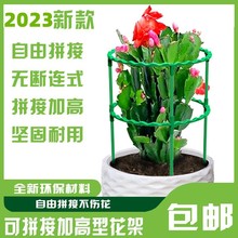 可拼接花支架支撑圈支撑杆室内植物花架阳台枝条爬藤架