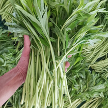 湖北特产洪湖新鲜野生泥蒿黎蒿芦蒿藜蒿顺丰3斤去叶净菜当季蔬菜