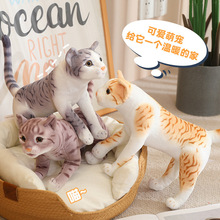小猫抱枕猫咪玩偶布娃娃可爱毛绒玩具儿童女生安抚礼品仿真猫公仔