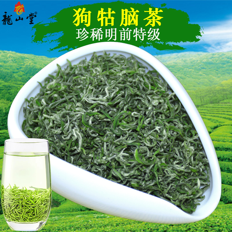 江西绿茶明前特级芽头贡品高档毛尖遂川狗牯脑茶茶叶绿茶2024新茶