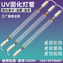 UV胶水固化灯 高压汞灯紫外线uv灯 自动线UV灯晶瓷画光固化UV汞灯