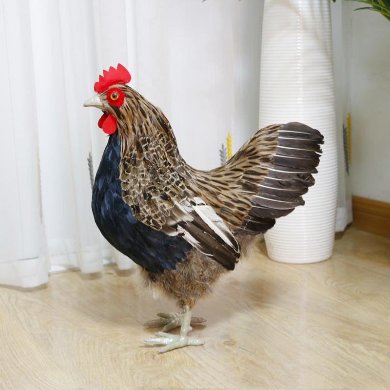 仿真大母鸡模型鸡摆件摄影道具真羽毛工艺品造景假鸡家居招财摆件
