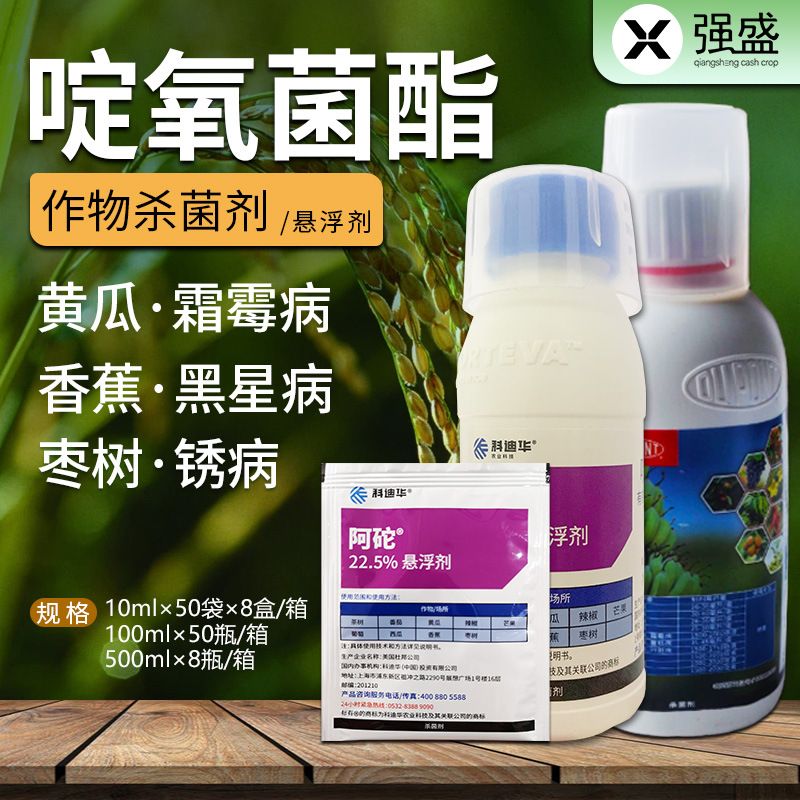 杜邦阿砣 啶氧菌酯蔬菜葡萄月季黑星病灰霉病蔓枯病农药杀菌剂