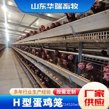 畜牧厂家供应层叠式全自动蛋鸡笼全自动集蛋机养鸡设备价格