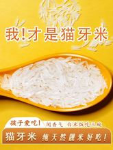 猫牙米泰国香米长粒香米官方旗舰店2023年新米大米丝苗油粘米10斤