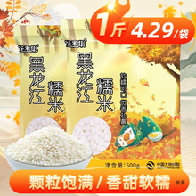 东北糯米2023年新米5斤包粽子酿酒白江米粘大米圆糯米5斤商用