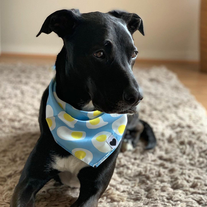 狗狗丝巾宠物口水巾法斗头巾pets柯基方巾dog三角巾跨境亚马逊ins