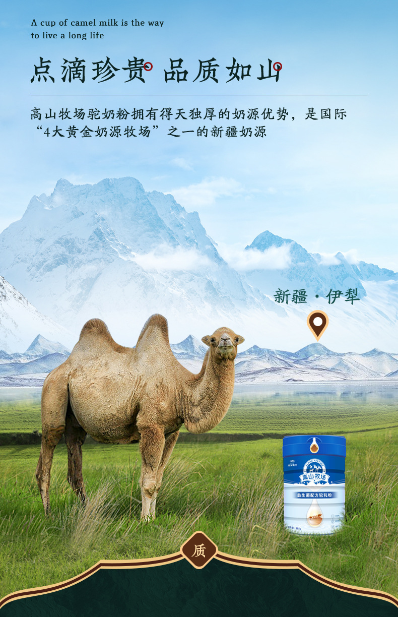 新疆雪莲乳业驼奶粉高山牧场益生菌配方驼乳粉招商代理骆驼奶批发