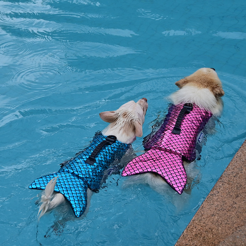 道格人鱼公主cosplay宠物救生衣狗狗游泳衣大中型狗夏天游泳服