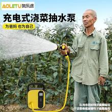 充电式抽水泵全自动家用小型农用抽水机浇菜浇水浇地锂电水泵