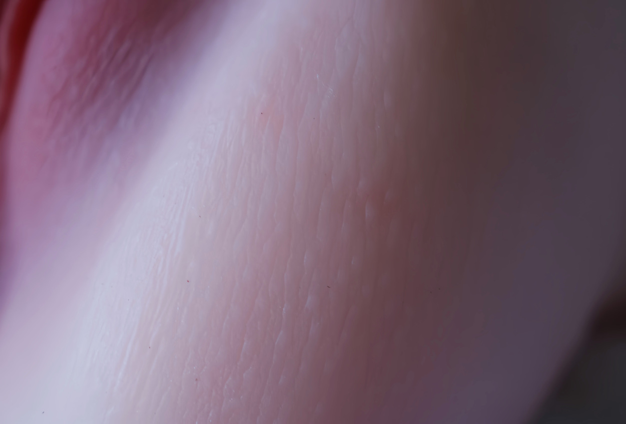 O1CN01oCynTL1LzVZ9XrDmG_!!2212686291370-0-cib.jpg?__r__=1715608575171