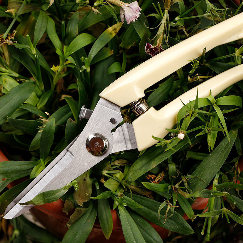 园艺工具花园花艺剪刀花剪插花工具修剪园艺剪刀家用宽头鲜花剪刀