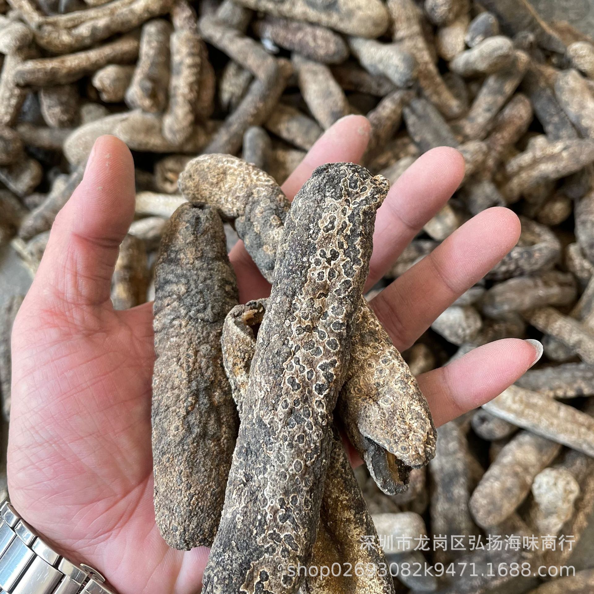 新几内亚虎皮参 黑虎皮参 大赤参 赤条海参干货 7-15头