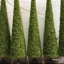 仿真锥形树塔形树室内外植物球形盆栽米兰草装饰摆件婚庆绿色假树