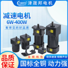 调速电机6W-400W减速马达正反转 配调速器线包全铜厂家220V