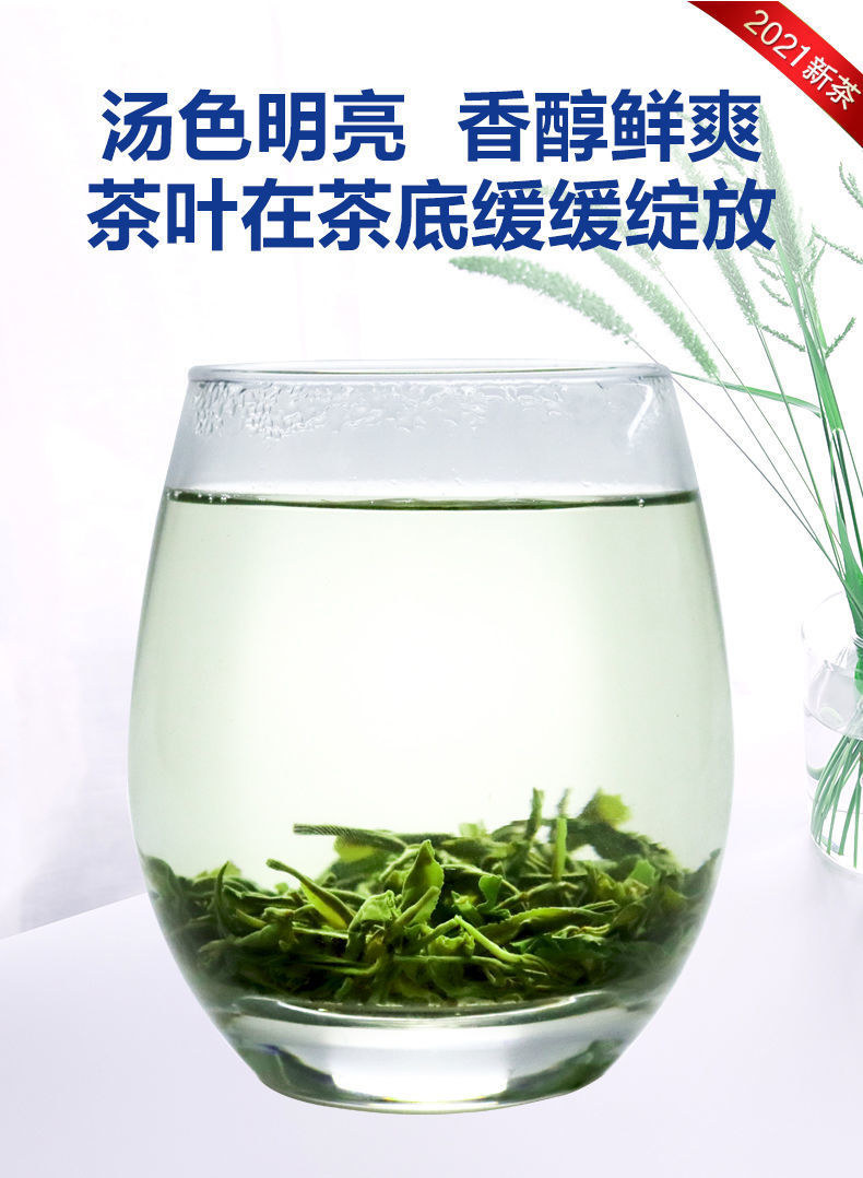 古丈毛尖 2021年新茶 高山云雾绿茶 250克袋装茶叶 湖南特产茶叶