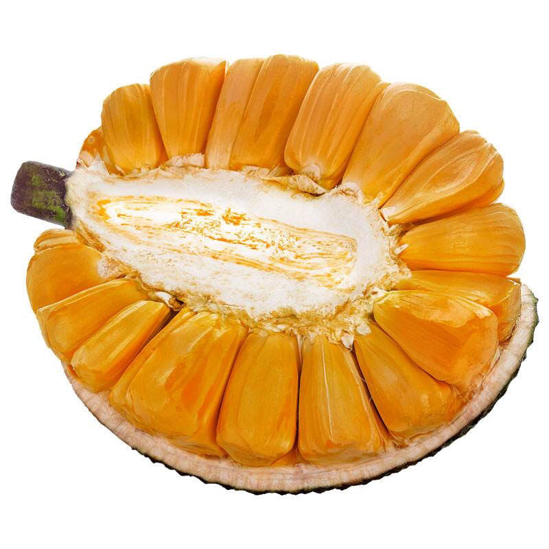 红肉大果树熟红心菠萝蜜一整个新鲜当季热带水果非榴莲蜜