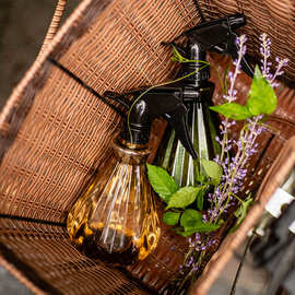 奇花喷壶500ml透明小喷壶钻石形状浇花壶塑料喷水壶园艺用品