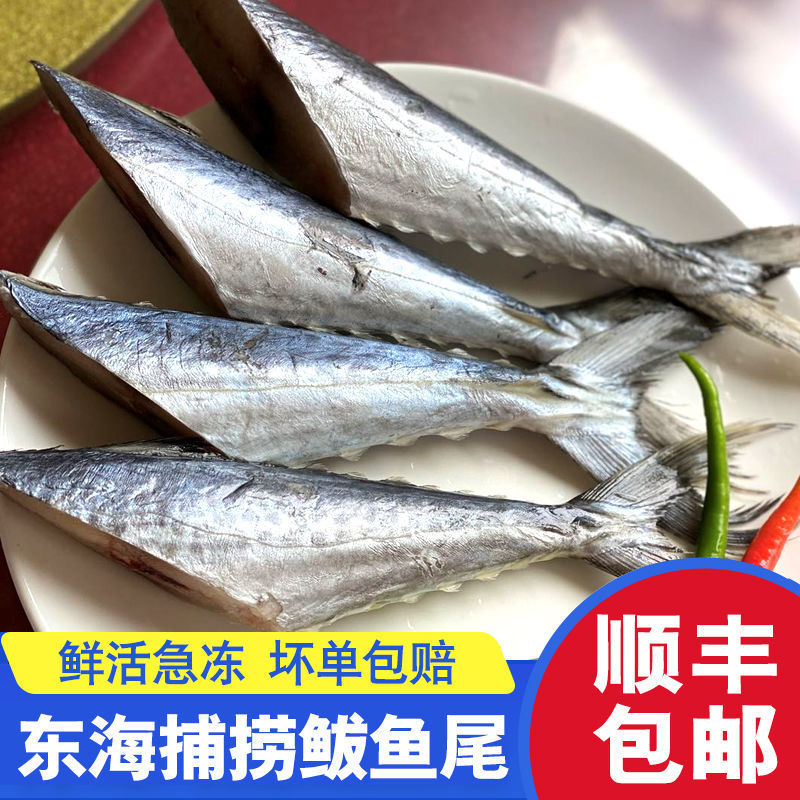 【特惠】鲅鱼尾新鲜燕鲅鱼大马鲛鱼馅饺子海鱼海鲜冷冻批发