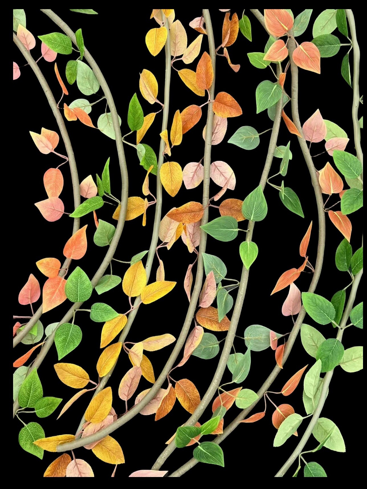 树藤条叶绿植树藤花藤蔓管道缠绕挂壁垂吊花篮婚庆家装美化