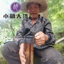 天然土漆批发  绵阳漆农自产自销天然国漆 天然漆 大漆原生漆