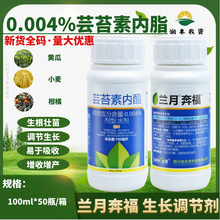 兰月奔福 0.004%芸苔素内脂白菜小麦花卉果树农药植物生长调节剂