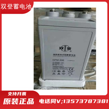 双登蓄电池GFM-2V100AH2V200AH2V300AH2V400AH2V500AH 600 1000AH