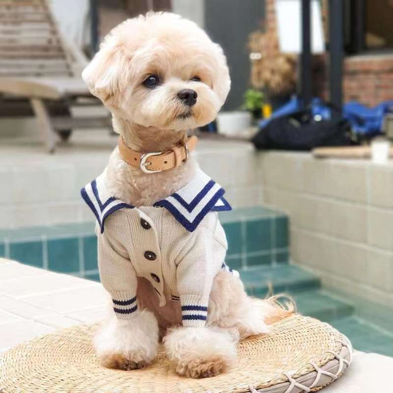 韩国宠物毛衣海军学院风jk狗狗毛线衣猫咪动物保暖秋冬衣服外套