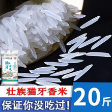 猫牙米2023年晚稻新米批发长粒香米农丝苗米长象牙米大米5斤一袋