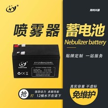 XINGYAUN12伏打药机农用药壶电瓶12V8AH电动喷雾器专用铅酸蓄电池