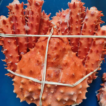 智利进口熟冻帝王蟹冰山品牌新鲜大螃蟹冷冻海鲜海产礼包