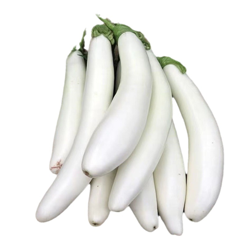 50斤包邮 湖北白茄子 散装当季新鲜蔬菜白茄子农家鲜茄子现摘直发