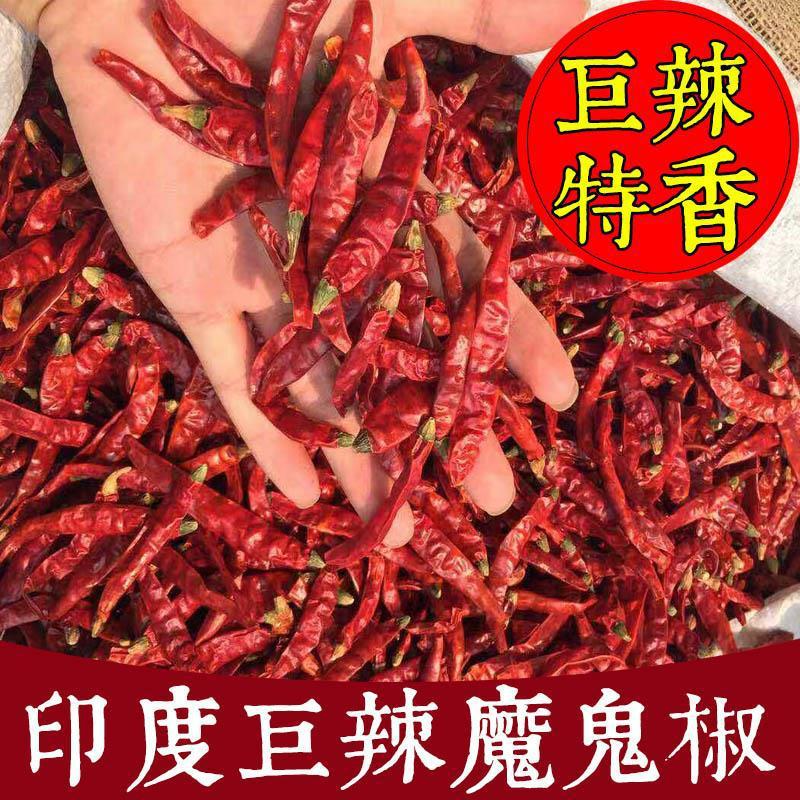 印度魔鬼辣干辣椒 印度辣椒王 免费切段 打粉 干货 颜色红 特辣
