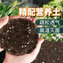 营养土养花通用兰花蝴蝶兰泥炭土土壤种植土多肉花土通用型