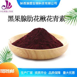 黑果腺肋花楸花青素25% 野樱莓花青素 sc现货包邮 黑果楸花青素